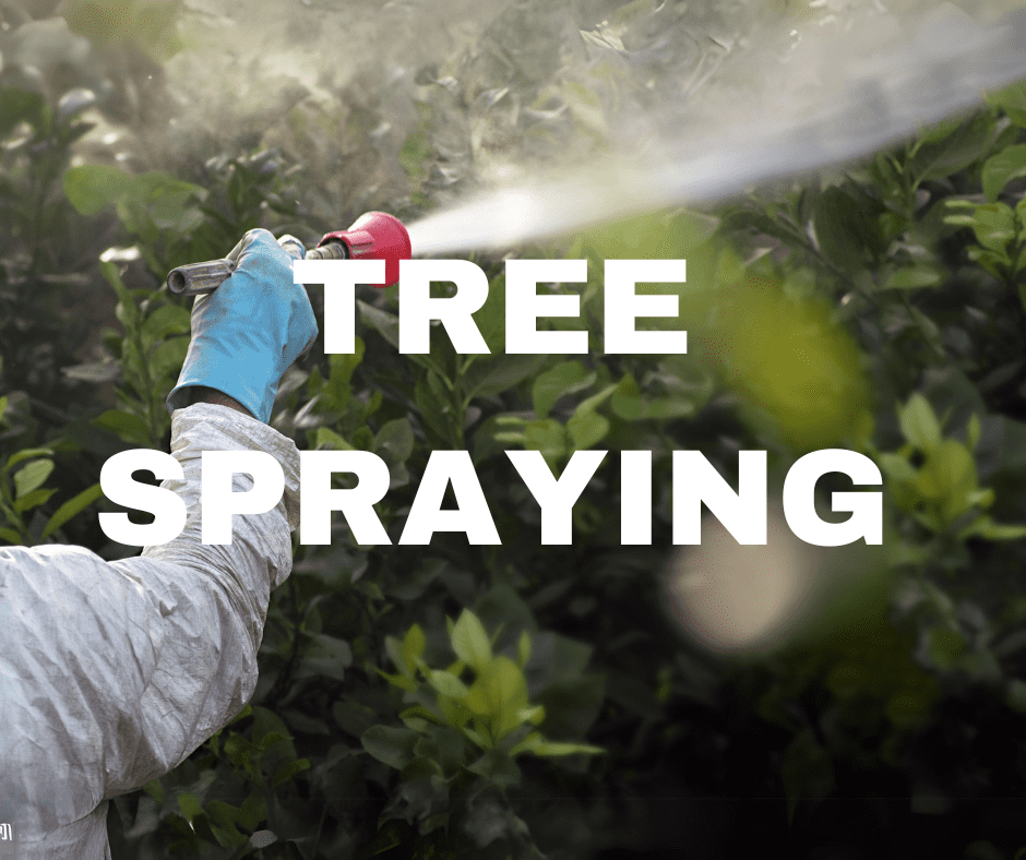 Tree Spraying; Arbor Patrol Tree Service. I.S.A. Certified Master Arborist